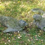 Anna Dębska rzeźbi zwierzęta. Jej drewniany dom stoi w lesie, a pomiędzy drzewami stoi mnóstwo rzeźb.