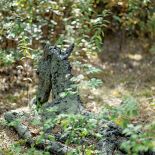 Anna Dębska rzeźbi zwierzęta. Jej drewniany dom stoi w lesie, a pomiędzy drzewami stoi mnóstwo rzeźb.