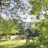 Anna Dębska rzeźbi zwierzęta. Jej drewniany dom stoi w lesie, a pomiędzy drzewami stoi mnóstwo rzeźb.