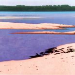 Antoni Starowieyski 497 , 2008-2009 r.