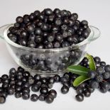 Owoce aronii są mało soczyste i cierpkie, ale mają za to mnóstwo właściwości zdrowotnych!