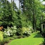 Azalie i rododendrony rosną w ziemi, inne kwitnące rośliny pani Ewa sadzi w donicach i potem przestawia, gdzie akurat