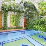 Basen został obsadzony ogromną ilością roślin.