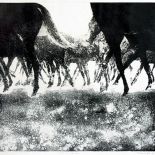Bez tytułu , akwatinta, 1977. Ballada o koniu