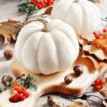 biała dynia pomysły na dekoracje stołu