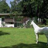 Biały koń w ogrodzie - od razu widać, że w tym domu mieszka artysta.