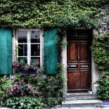 Bluszcz - numer jeden wśród pnączy: elegancki, wygimnastykowany i cały rok zielony. Jak hodować bluszcz?