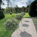 Boisko do gry w bule. Dziki park z ogrodem francuskim