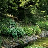 Brzegi porastają hosty i paprocie. Z romantycznym jeziorkiem