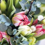 Bukiet z tulipanów. Wiosna - czas tulipanów