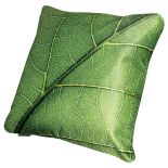 Cena 105 zł. PAKAMERA. Jesienne inspiracje