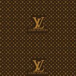 Walizki i torebki Louis Vuitton