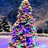 Jeśli na podwórzu ubraliśmy choinkę - w domu wystarczą małe stroiki!