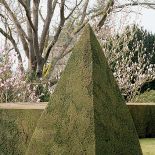 Cisowy żywopłot wyznacza granicę między dwoma poziomami ogrodu.