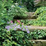 Co rusz schodki, nieduże placyki – już dawno pokrył je mech, dzięki czemu ogród jeszcze