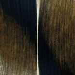 CXCIV , 1965 r., S. Gierowski, REMPEX