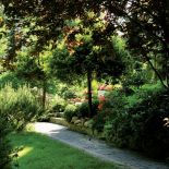 Cyprysy u stóp schodów wyglądają jak eleganckie filary. Dopelnieniem dekoracji są sezonowe kwiaty w donicach