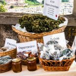 Czystek: właściwości, zastosowanie, opinie