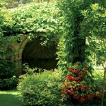 Dach ziemianki okrywa gęsty bluszcz. Ogród z leśną ziemianką