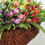 Dekoracja z tulipanów w wiklinowym koszu.