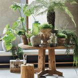 Dekoracje do domu: kwiaty na ścianach, meblach i w doniczkach