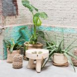 Dekoracje do domu: kwiaty na ścianach, meblach i w doniczkach