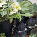 Jak udekorować drzwi: zimowy wieniec i hiacynty