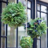 Jak udekorować drzwi: zimowy wieniec i hiacynty