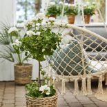 ogrodowe dekoracje z wikliny