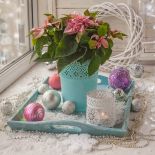 Aranżacja na parapecie z gwiazdą betlejemską.