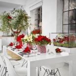 Dekoracje świąteczne DIY – gwiazda betlejemska i ozdoby w wazonach