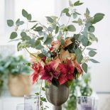 Dekoracje świąteczne DIY – gwiazda betlejemska i ozdoby w wazonach