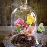 Dekoracje tortów: kwiaty z cukru