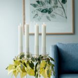 dekoracje z białą gwiazdą betlejemską