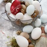 Prosto z natury: jajka na twardo od różnych właścicielek - przepiórek, kur.