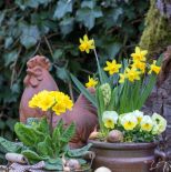 kompozycje wielkanocne do ogrodu