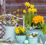 kompozycje kwiatowe wielkanocne do ogrodu