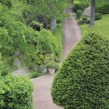 Do domu prowadzi szeroka aleja wysadzana platanami.