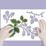 Maliny, jeżyny - szablon do malowania ścian