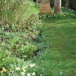 Do terakotowego dzbana prowadzi rabata z żonkilami, ciemiernikiem wschodnim i śnieżnikiem Forbesa Pink Giant . Ten