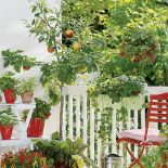 aranżacje z kwiatami na balkon