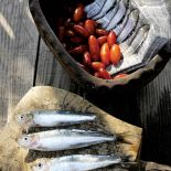dojrzałe w słoncu pomidory i ryby z dzisiejszego połowu - specjalnośc greckiej kuchni.
