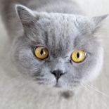 Dom na Kabatach. Styl nowoczesny, fototapeta, biel, aranżacje domu, urządzanie domu, wystrój wnętrz, projektowanie wnętrz