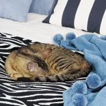 Dom nad jeziorem urządzony w stylu marynistycznym, w bielach i błękitach.