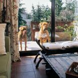 Dom urządzony pamiątkami, kolorami i inspiracjami z podróży.