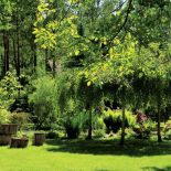 Dom zupełnie znika wśród bujnej zieleni.