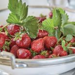 Małgosia i Marek zakochali się w nastrojowych rezydencjach winiarzy we Włoszech i Francji. Podobny dom