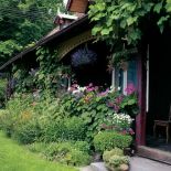 Drewnianą werandę upiększają pelargonie, petunie i wisząca lobelia w doniczkach.