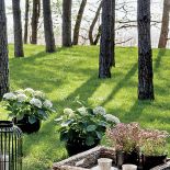 Drewniany dom nad jeziorem. Dwieście kilometrów od krzykliwego miasta, kilka kroków od plaży.