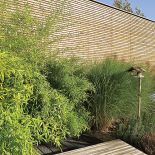 Drewno i zieleń. Pióropusze traw